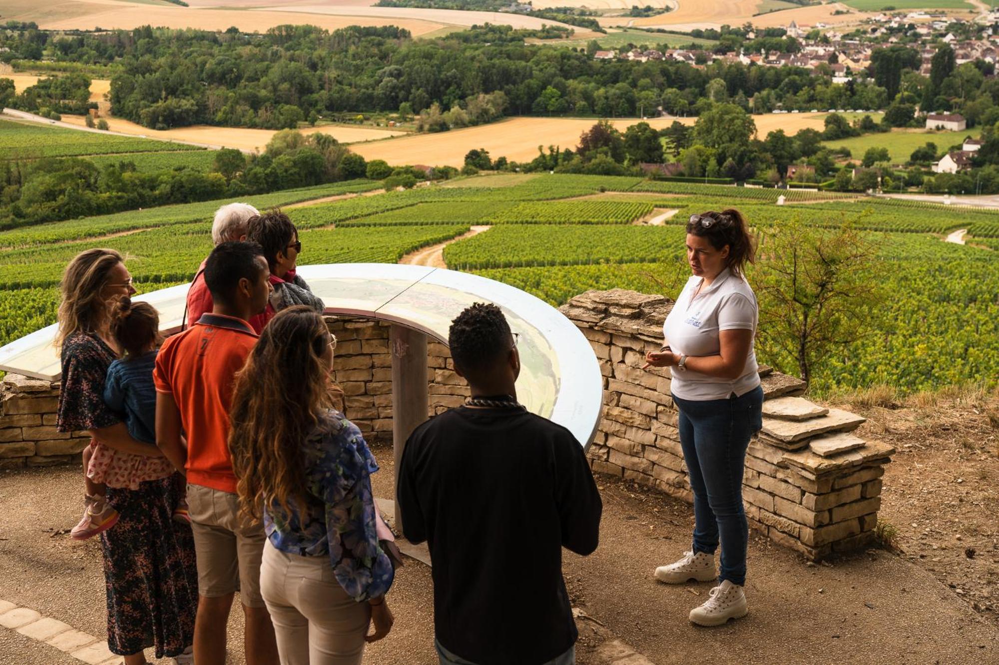 Appartements Domaine Gueguen Chablis Bagian luar foto